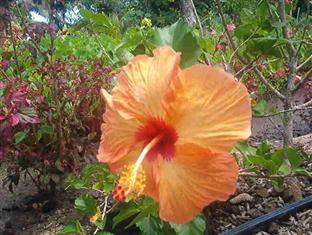 Pension Te Maeva Opoa ภายนอก รูปภาพ