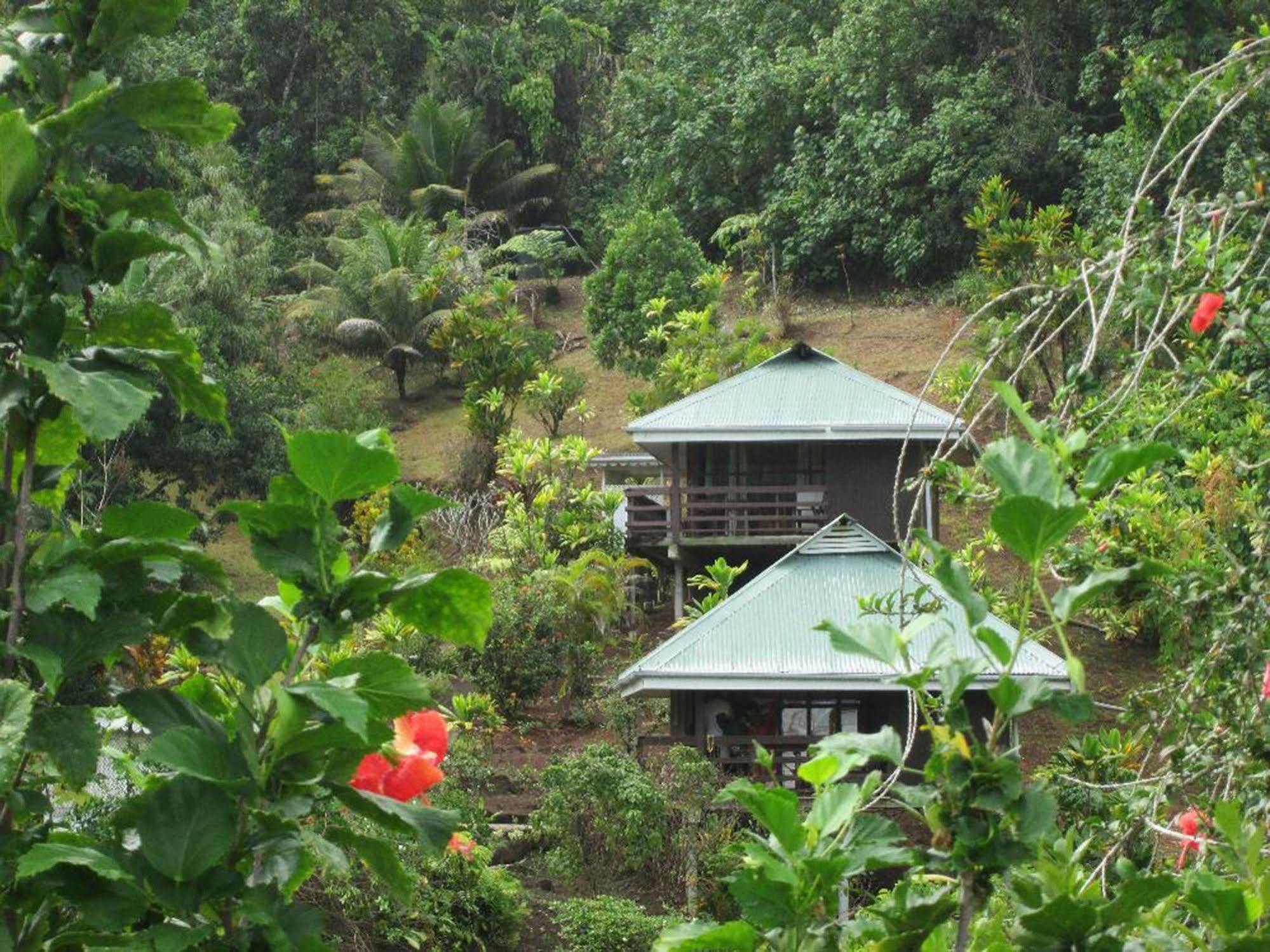 Pension Te Maeva Opoa ภายนอก รูปภาพ